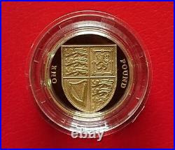 2009 UK £1 One Pound Royal Mint SHIELD Of The ROYAL ARMS 19.61 g Proof Gold Coin