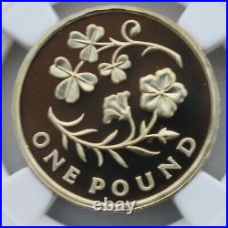 2014 £1 Ireland Floral One Pound Proof NGC PR70 Great Britain Top Pop