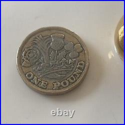 2017 One Pound Coin £1 Rare Elizabeth 2nd DG collectible item money