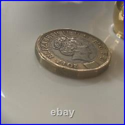 2017 One Pound Coin £1 Rare Elizabeth 2nd DG collectible item money